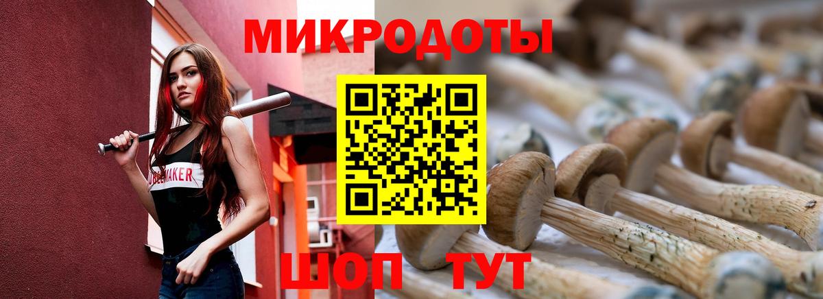 Саяногорск  Галлюциногенные грибы Psilocybe  Вход с VPN 
